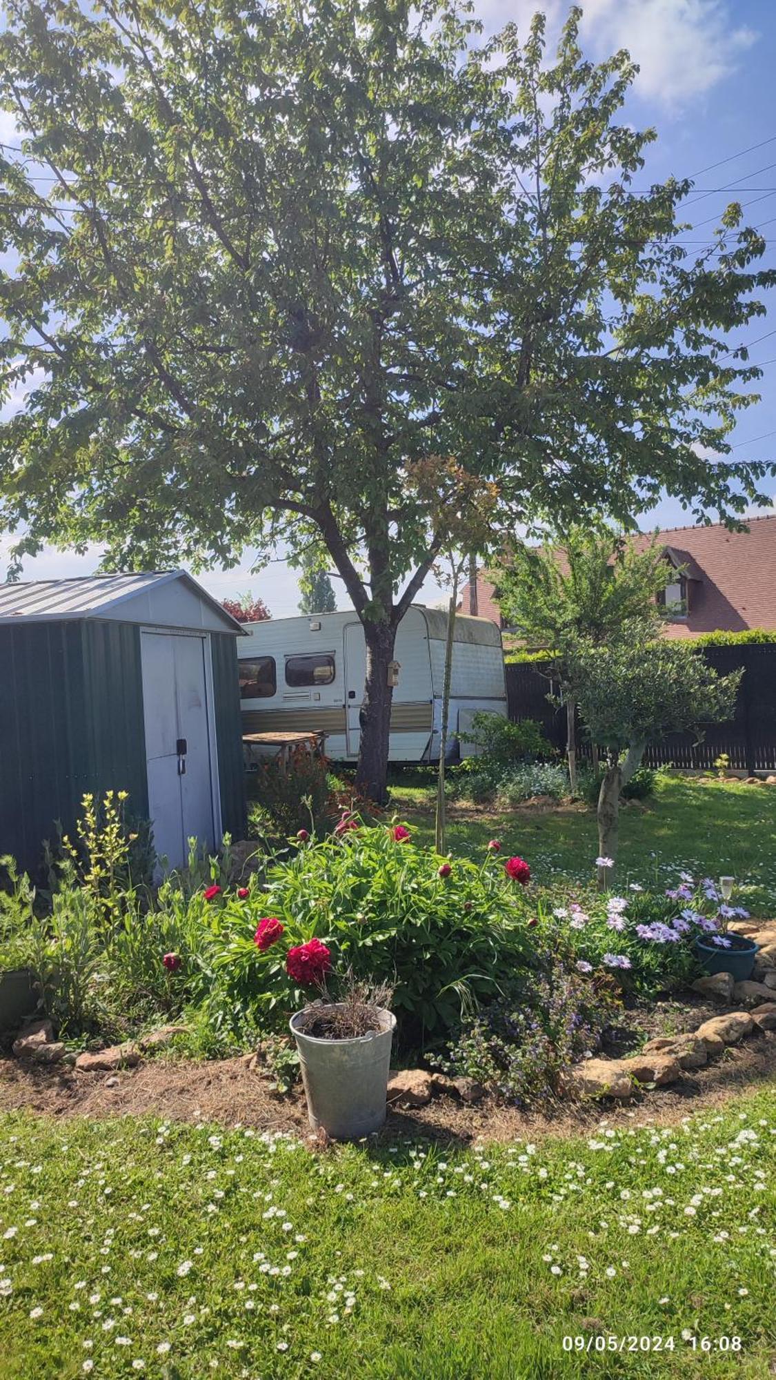 Homestay La Chouette Illuminee